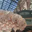 meのプロフィール画像