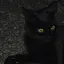 miiのプロフィール画像