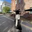 すずのプロフィール画像