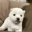 mahiroのプロフィール画像