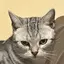 おとのプロフィール画像