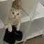 Nのプロフィール画像