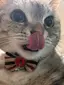 Lindaのプロフィール画像