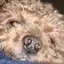 jのプロフィール画像