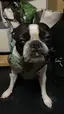 マエダのプロフィール画像