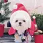 ♡のプロフィール画像