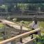 ミサのプロフィール画像