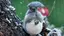 なのプロフィール画像