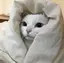 みゆのプロフィール画像