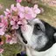 みやじのプロフィール画像