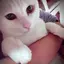 ふーのプロフィール画像