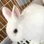いっちゃんのプロフィール画像