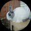 amyのプロフィール画像