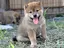 みくのプロフィール画像