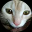由紀のプロフィール画像