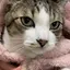 杏のプロフィール画像
