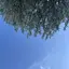 kakoのプロフィール画像