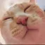 さっさーのプロフィール画像