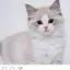 mmnnのプロフィール画像