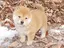 なおやのプロフィール画像
