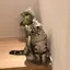 翼のプロフィール画像