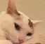 きむのプロフィール画像