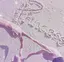 MIYUKAのプロフィール画像