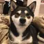 うめちゃんのプロフィール画像