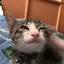 りっちゃんのプロフィール画像
