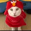 髙木のプロフィール画像
