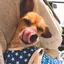 まゆのプロフィール画像
