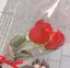 sayaのプロフィール画像