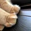 みづきのプロフィール画像