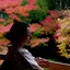 葵のプロフィール画像