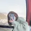 ふうかのプロフィール画像