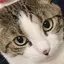 maiのプロフィール画像