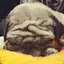 ka.kのプロフィール画像