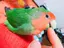 鳥好きのプロフィール画像