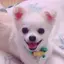 かおりのプロフィール画像