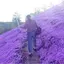 まおのプロフィール画像