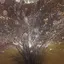 わーのプロフィール画像