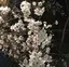 希のプロフィール画像