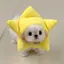 ゐくよのプロフィール画像