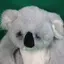ばにのプロフィール画像