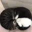 みぃ汰のプロフィール画像