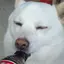 めぐみるくのプロフィール画像