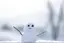 pikeのプロフィール画像