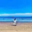 SHIORIのプロフィール画像