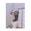 みずっきーのプロフィール画像