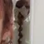 307のプロフィール画像